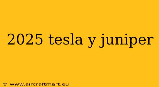 2025 tesla y juniper