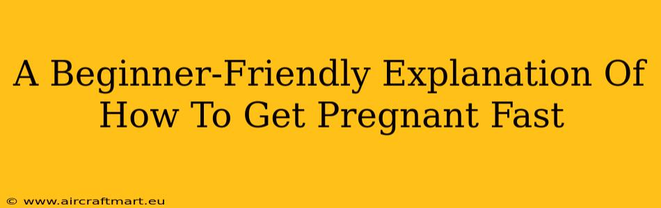 A Beginner-Friendly Explanation Of How To Get Pregnant Fast