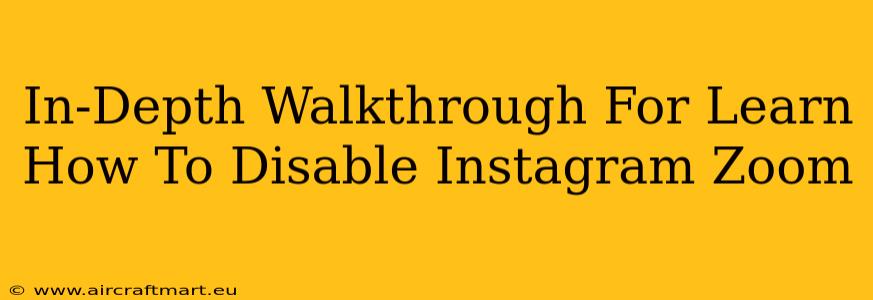 In-Depth Walkthrough For Learn How To Disable Instagram Zoom
