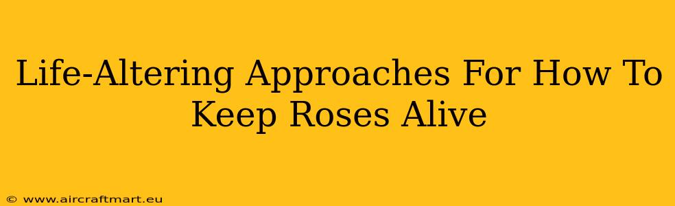 Life-Altering Approaches For How To Keep Roses Alive